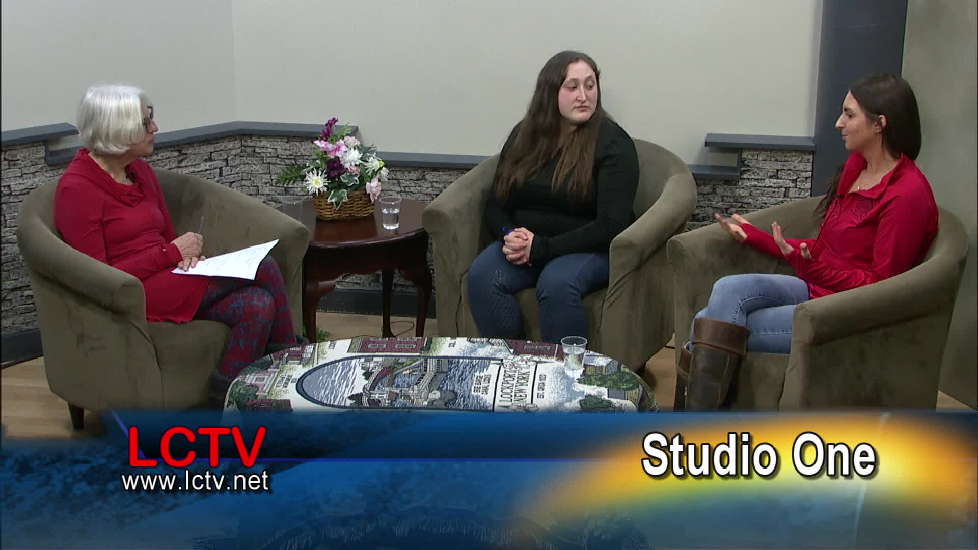 Studio One Hippotherapy Occupational Therapy with Horses and